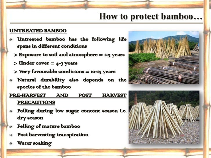 Bamboo construction (final ppt)