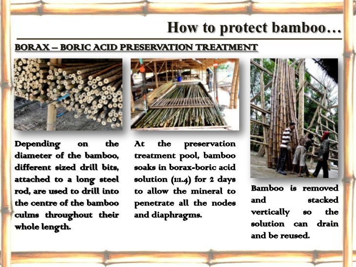 Bamboo construction (final ppt)