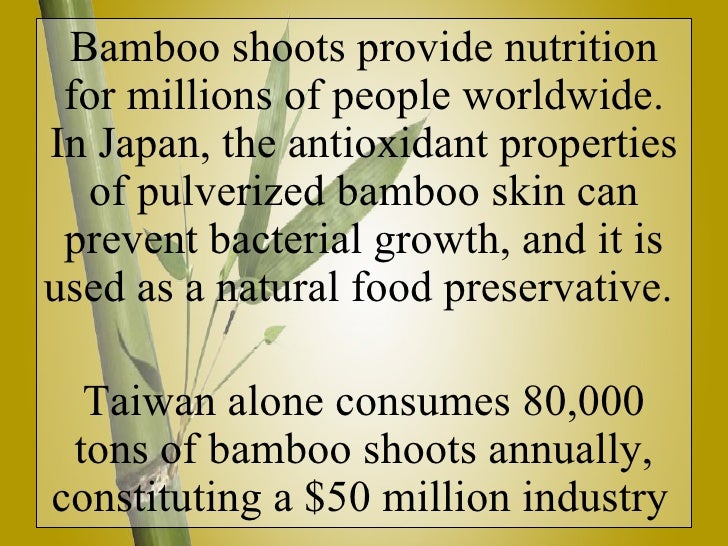 Bamboo Facts