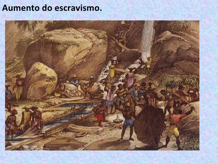 Cite Duas Contribuições Dos Bandeirantes Para A História Do Brasil