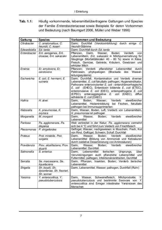 Dissertation danksagung beispiel
