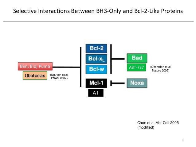 bcl-2 family members (Prof Members Regulation of by 2 Family BCL Apoptosis