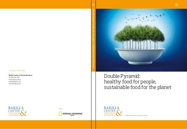 food pyramid essay food pyramid essay