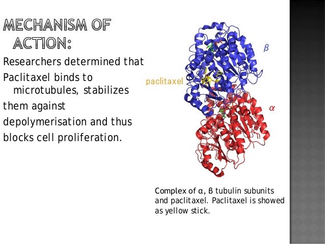 semisynthesis of taxol and taxotere semisynthesis of taxol and taxotere