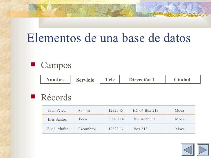Base De Datos Con Word
