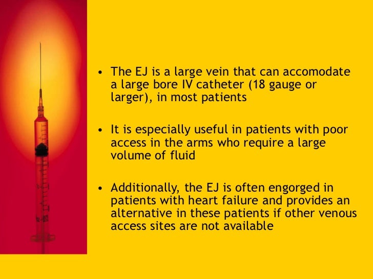 Basic Intravenous Therapy 1 Anatomy