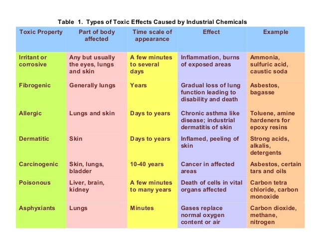 mesothelioma dog diagnosis