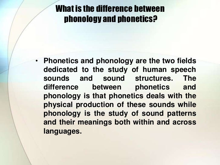 What Is The Meaning Of Dissertation