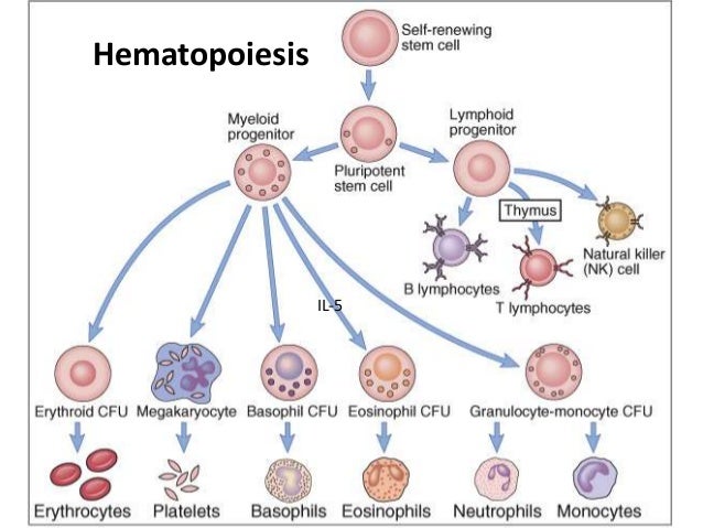 Nature Reviews Antibodies Translational Nature Reviews Antibodies Translational