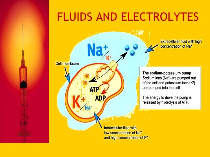 Basic Intravenous Therapy 3 Fluids And Electrolytes, Balance and Imb…