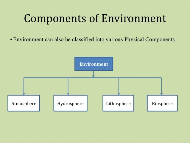 pdf left sentence peripheries