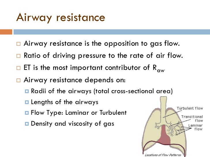 Basics of neonatal ventilation 1