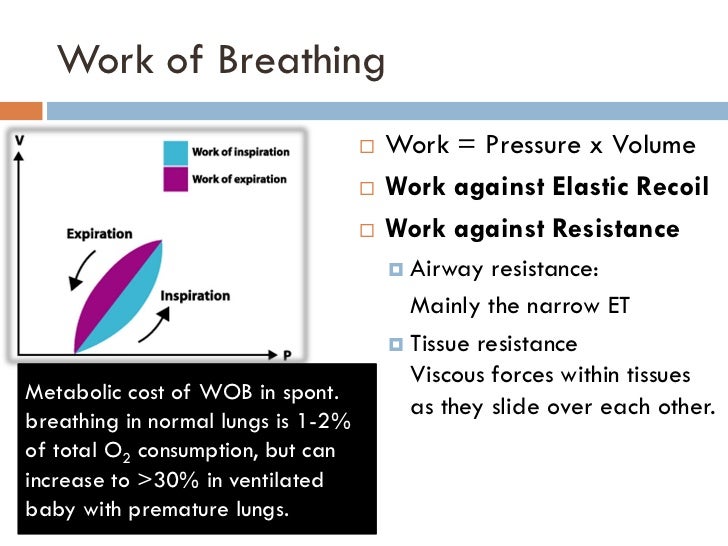 Basics of neonatal ventilation 1