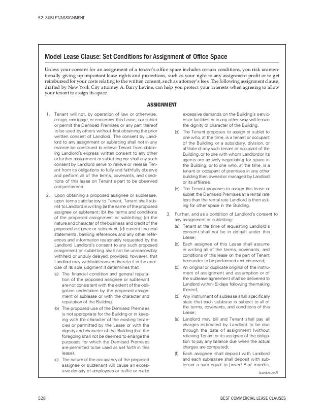 Sport essay example picture