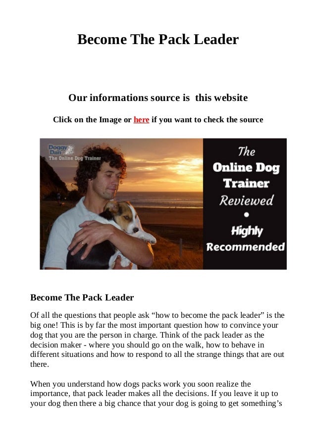 how to become pack leader become the pack leader how to become pack leader become the pack leader