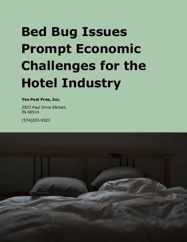 challenge that the hotel industry is This essay explores most of the area in the hospitality industry, this is done by firstly discussing the importance of hospitality businesses for the economy and related businesses then considers the following areas weakness, strength, challenges and opportunities in scotland for hospitality businesses. challenge that the hotel industry is This essay explores most of the area in the hospitality industry, this is done by firstly discussing the importance of hospitality businesses for the economy and related businesses then considers the following areas weakness, strength, challenges and opportunities in scotland for hospitality businesses.