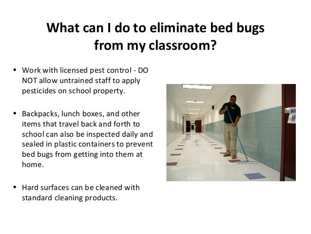 How Long To Kill Bed Bugs In Freezer How Long To Kill Bed Bugs In Freezer