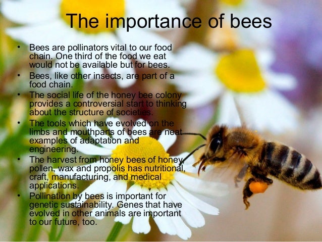 Harvest Craft Bees Harvest Craft Bees