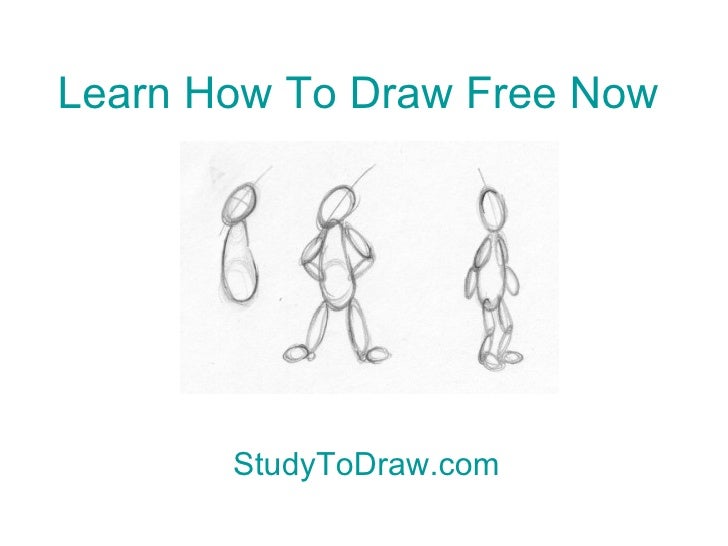 Beginner drawing lessons