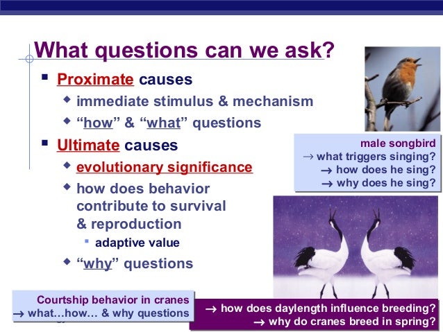 proximate and ultimate causation in animal behavior