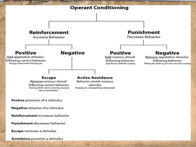 Operant conditioning essay