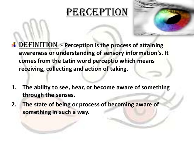 sense perception definition