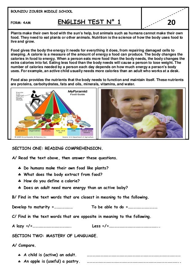 my favorite food essay