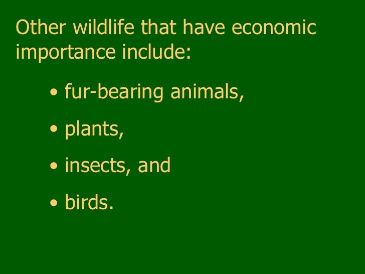 Economic importance of wild animals