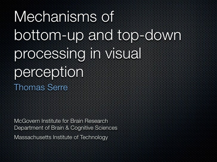 Mechanisms of bottomup and topdown processing in visual perception
