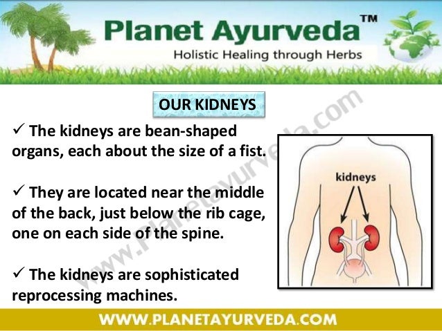 Kidney Patient Diet Chart In Urdu