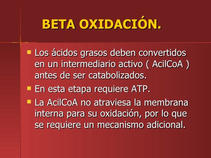 Beta oxidación