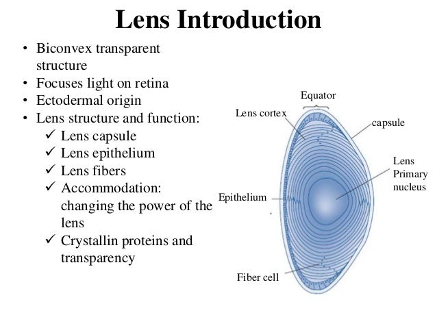 intraocular lens