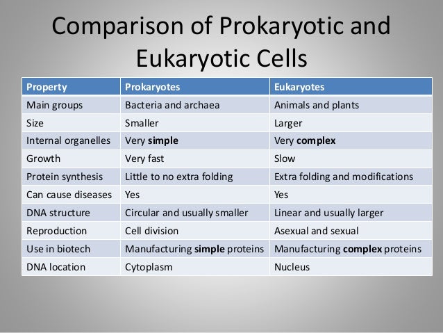 comparison of prokaryotic and eukaryotic cells The main difference between these two types of cells is the defined nucleus, existing only in eukaryotic cells prokaryotic organisms can be unicellular or colonial and include eubacteria and archaebacteria. comparison of prokaryotic and eukaryotic cells The main difference between these two types of cells is the defined nucleus, existing only in eukaryotic cells prokaryotic organisms can be unicellular or colonial and include eubacteria and archaebacteria.