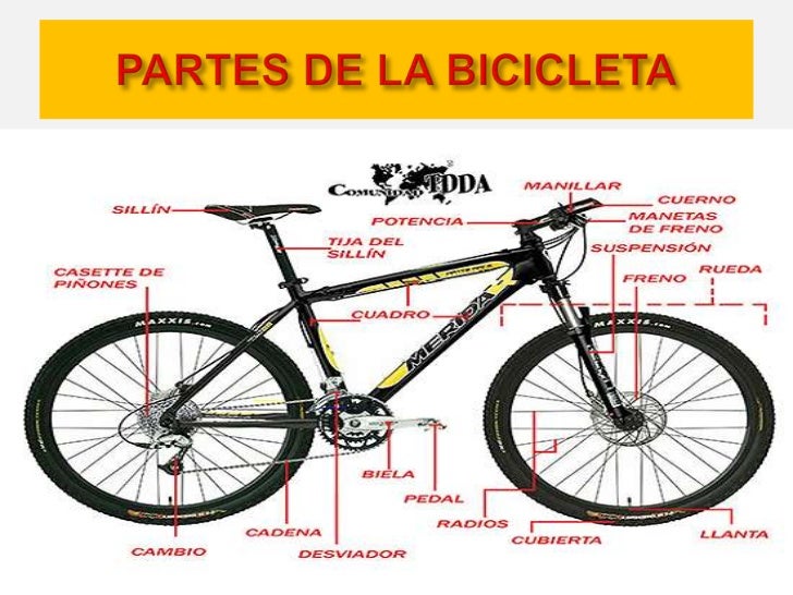 Los entrenamientos musicales para el adelgazamiento