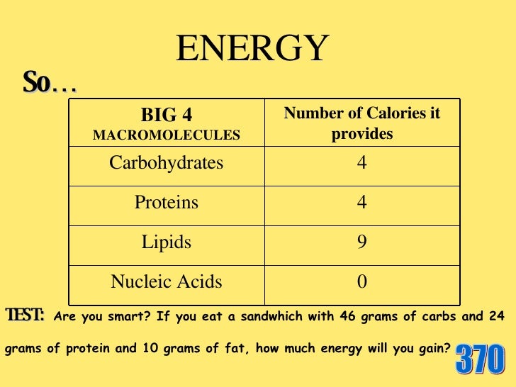 Big 4 Macromolecules