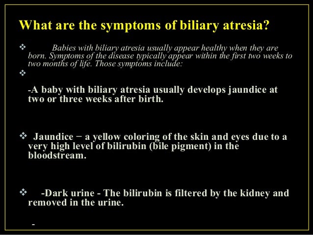 Kidney feature Blood take a look at