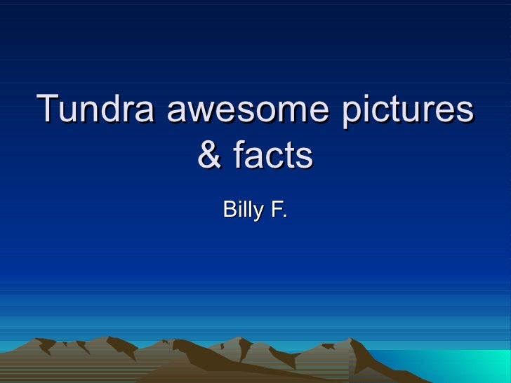 facts about the tundra