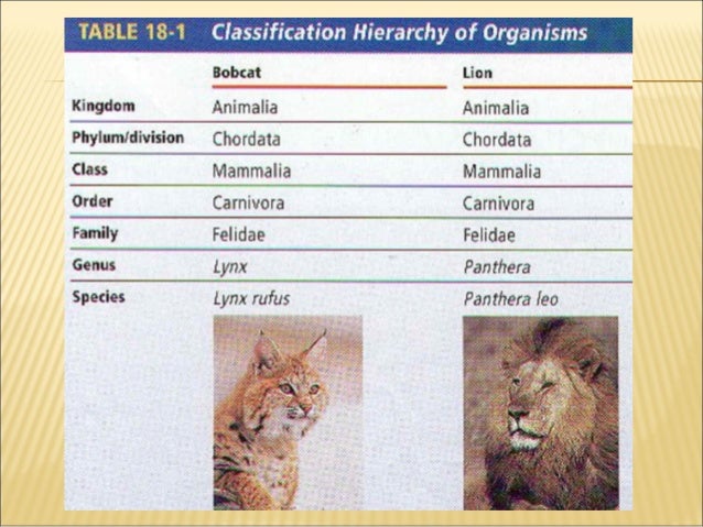 Grade 7 - Binomial Nomenclature