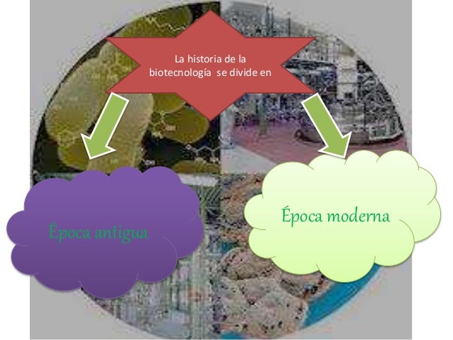 Biotecnología y sus aplicaciones