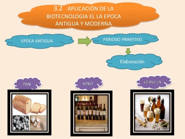 Biotecnologia Y Sus Aplicaciones En La Epoca Antigua Y Moderna