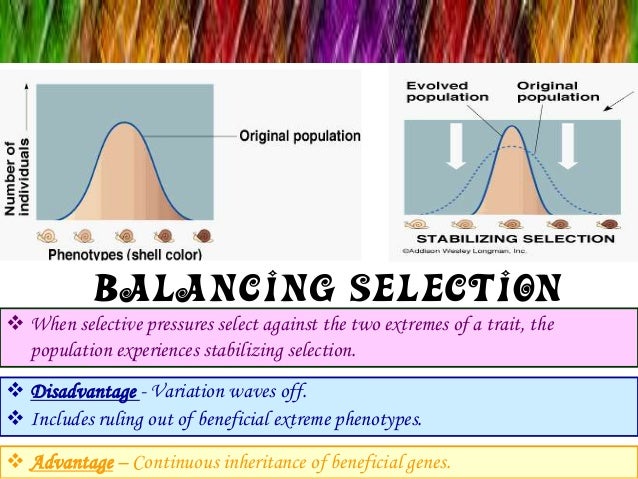 Natural Selection Parts Natural Selection Parts