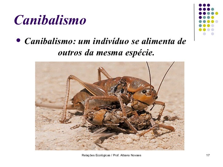 Bio.eco.relações.ecológicas