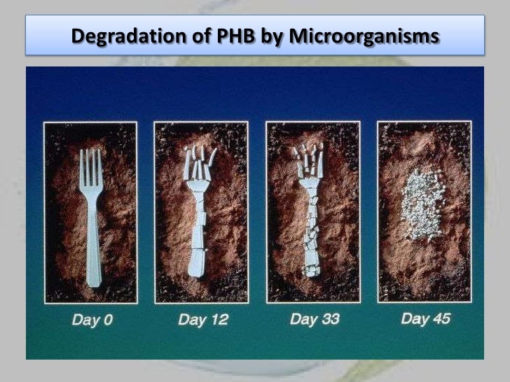 Bio plastic from bacteria.