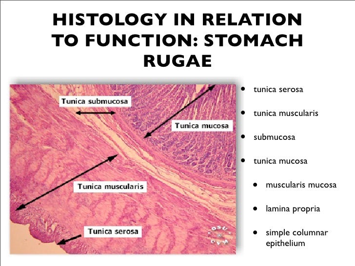 Bio 22 Post Lab Exam 3