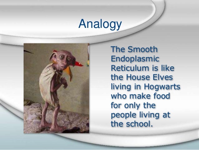 endoplasmic reticulum analogy