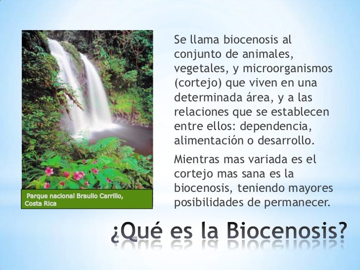 Biocenosis