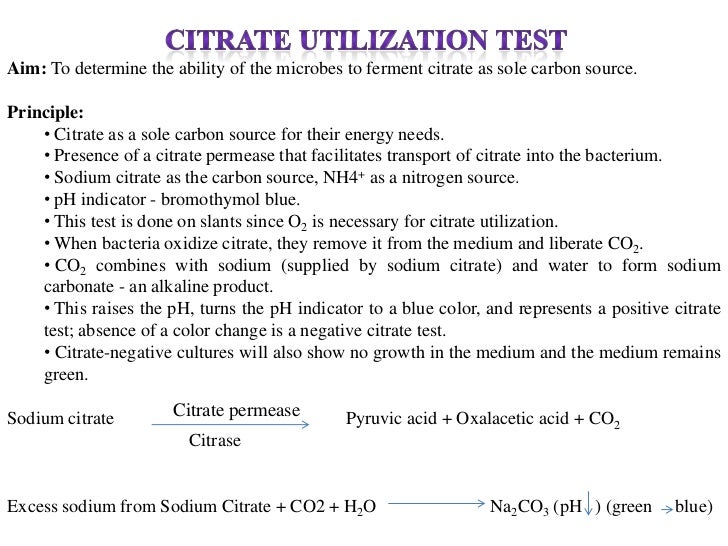 Biochemical test of bacteria