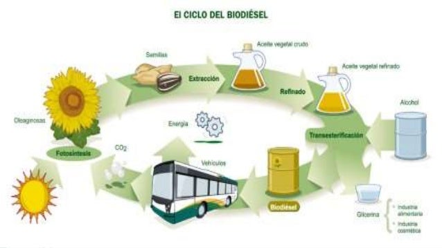Los precios del combustible diesel la gasolina