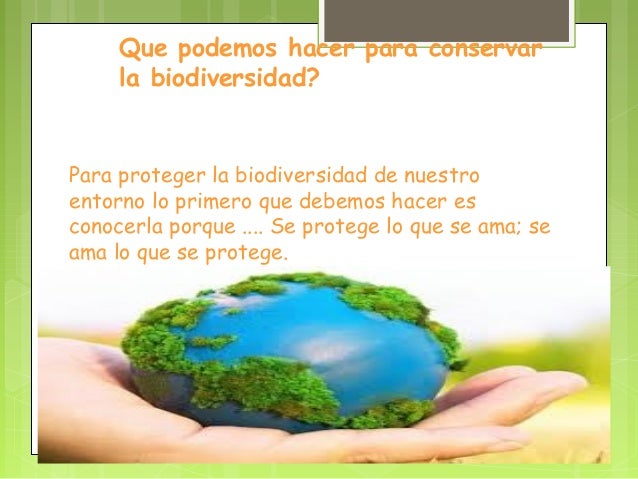 Resultado de imagen para que podemos hacer para cuidar la biodiversidad