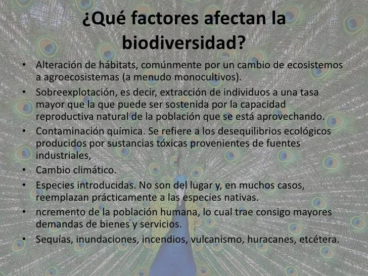 Biodiversidad En MéXico
